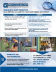 Energy compressed air audits